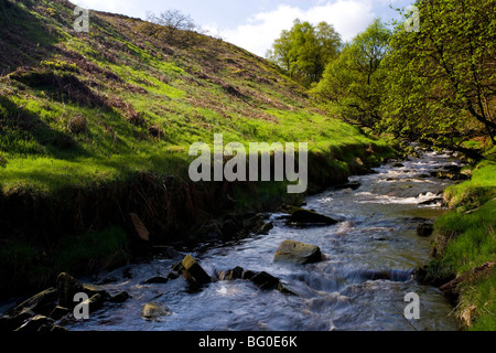 Der Fluß Goyt fließt durch das obere Goyt Tal im Peak District in der Nähe von Buxton in Derbyshire, England Stockfoto