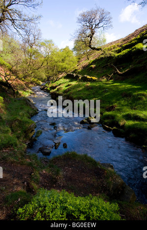 Der Fluß Goyt fließt durch das obere Goyt Tal im Peak District in der Nähe von Buxton in Derbyshire, England Stockfoto