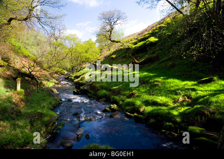 Der Fluß Goyt fließt durch das obere Goyt Tal im Peak District in der Nähe von Buxton in Derbyshire, England Stockfoto