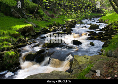 Der Fluß Goyt fließt durch das obere Goyt Tal im Peak District in der Nähe von Buxton in Derbyshire, England Stockfoto