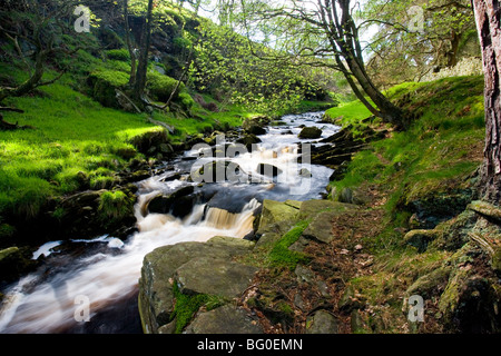 Der Fluß Goyt fließt durch das obere Goyt Tal im Peak District in der Nähe von Buxton in Derbyshire, England Stockfoto