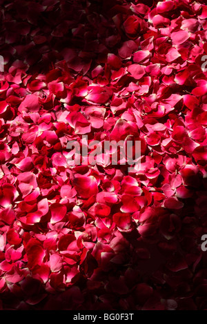 Bad mit Rosenblättern Stockfoto