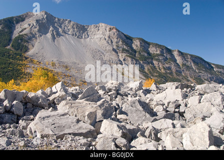 Frank Slide (massiven Bergsturz von Schildkröte-Berg, der Stadt im Jahr 1903 begraben), Crowsnest Pass, Alberta, Kanada Rockies Stockfoto