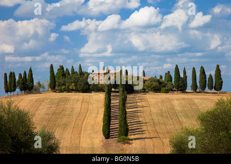 Villa am Ende Zypressen gesäumten Gasse in der Nähe von San Quirico Val d ' Orcia Toskana Italien Stockfoto