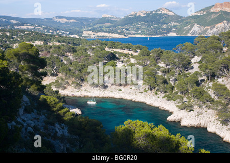 Blick vom Hang zur Calanque de Port-Pin und entfernte Baie de Cassis, Cassis, Bouches-du-Rhône, Provence, Cote d ' Azur, Frankreich Stockfoto