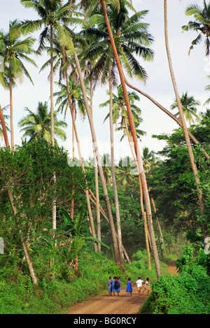 Schülerinnen und Schüler zu Fuß durch Kokosnuss-Plantage, Insel Taveuni, Fidschi, Pazifische Inseln, Pazifik Stockfoto