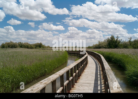 Promenade in die Tablas de Daimiel National Park, La Mancha, Spanien, Europa Stockfoto