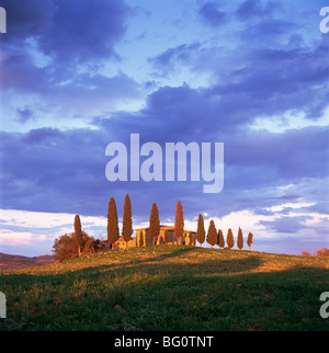 In der Nähe von Pienza, Toskana, Italien, Europa Stockfoto