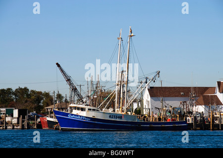 Montauk Hafen, Montauk, Long Island, New York State, Vereinigten Staaten von Amerika, Nordamerika Stockfoto