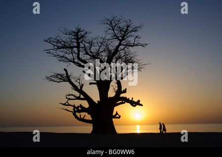 Baobab Baum und paar Wandern, Sine-Saloum-Delta, Senegal, Westafrika, Afrika Stockfoto