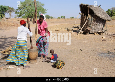 Stampfen Hirse, Serer (Serere) Tribal Village, Senegal, Westafrika, Afrika Stockfoto