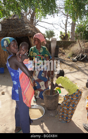 Stampfen Hirse, Serer (Serere) Tribal Village, Senegal, Westafrika, Afrika Stockfoto