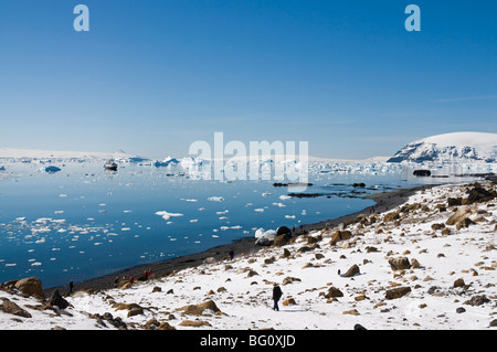 Braune Bluff, antarktische Halbinsel, Antarktis, Polarregionen Stockfoto