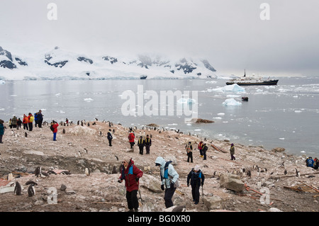 Touristen und Gentoo Penguins, Neko Harbour, antarktische Halbinsel, Antarktis, Polarregionen Stockfoto