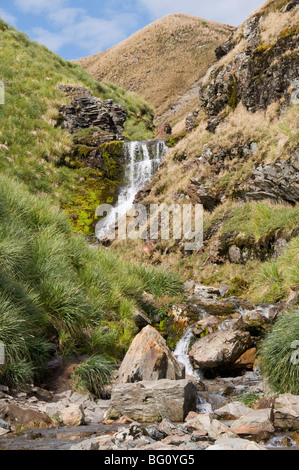 Wasserfall, Fortuna Bay, Südgeorgien, Süd-Atlantik Stockfoto