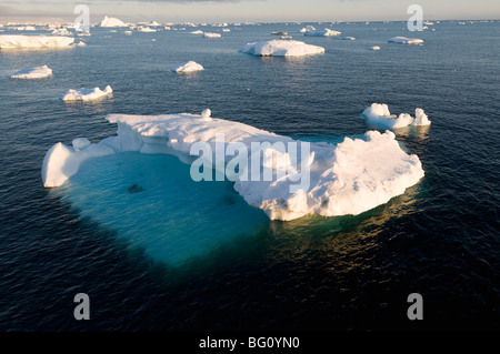 Eis in der Antarktis Sound, der antarktischen Halbinsel, Antarktis, Polarregionen Stockfoto