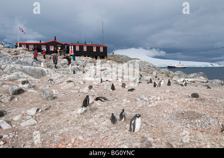 Britischen Stützpunkt und Postamt, Port Lockroy, antarktische Halbinsel, Antarktis, Polarregionen Stockfoto