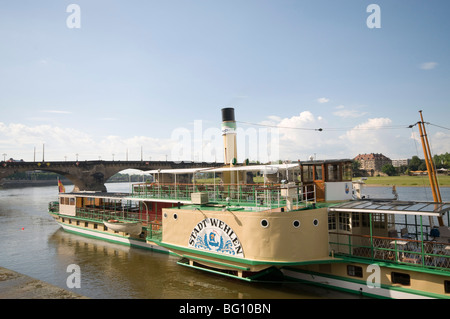 Paddel-Dampfer am Fluss Elbe, Dresden, Sachsen, Deutschland, Europa Stockfoto