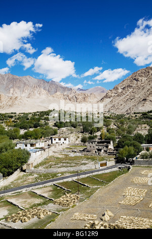 Blick auf Hemis Dorf, Ladakh, indischen Himalaya. Stockfoto