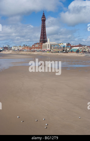 Mit Blick auf den Strand und Blackpool Tower vom Central Pier, Blackpool, Lancashire, England, Vereinigtes Königreich, Europa Stockfoto