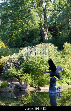 Ein Teich im Queen Marys Gardens, Regents Park, London, England, Vereinigtes Königreich, Europa Stockfoto