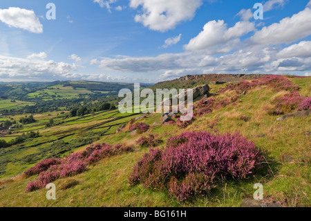 Heather Moorland, Baslow Rand in der Nähe von Curbar, Peak District National Park, Derbyshire, England, Vereinigtes Königreich, Europa Stockfoto