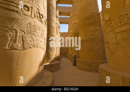 Hieroglyphen auf großen Säulen im Tempel von Karnak in der Nähe von Luxor, Theben, UNESCO World Heritage Site, Ägypten, Nordafrika Stockfoto