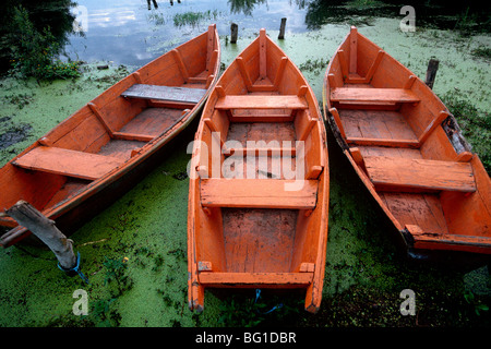 Orange Ruderboote in Lake Atitlan, San Pedro, Guatemala Stockfoto