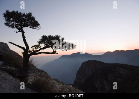 Kiefer, die Silhouette in der Abenddämmerung an Lushan-Berg, UNESCO-Weltkulturerbe, Jiangxi Provinz, China, Asien Stockfoto