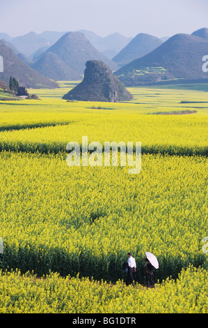 Ein paar Spaziergang durch Raps Blumenwiesen blühen in teilnehmen, Provinz Yunnan, China, Asien Stockfoto