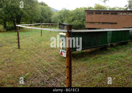 Anti-Bear Zaun zum Schutz der Biene Bienenstöcke in der niedrigen hohe Tatra Slowakei Stockfoto