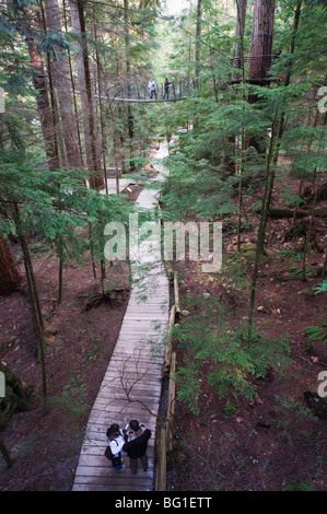 Touristen in Capilano Suspension Bridge and Park, Vancouver, Britisch-Kolumbien, Kanada, Nordamerika Stockfoto