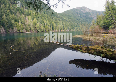Ein See im MacMillan Provincial Park, Vancouver Island, British Columbia, Kanada, Nordamerika Stockfoto