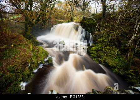 Schottische Wasserfall, Loch Awe, Argyll & Bute, Scotland Stockfoto