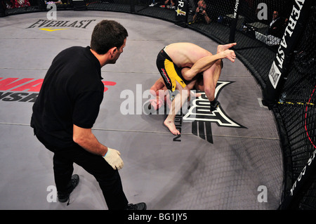 Zwei Käfig-Kämpfer in den Ring während "Käfig-Kriege - Alptraum" Kings Hall, Belfast Stockfoto