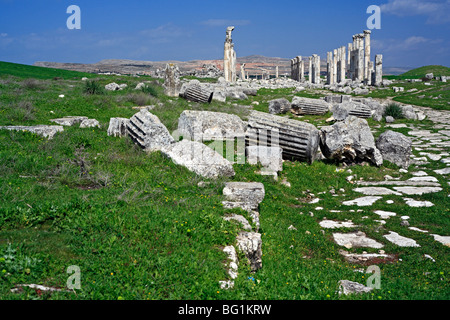 Antike Stadt Apameia (Apameia, Afamia), Syrien Stockfoto