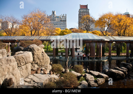 Der Central Park Zoo, NYC Stockfoto