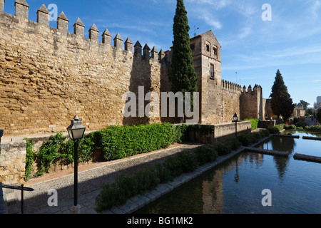 Alte Mauern und Almodovar Tor, Córdoba, Andalusien, Spanien Stockfoto