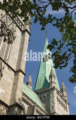 Nidarosdomen Og Dom Detail, Trondheim, Norwegen, Skandinavien, Europa Stockfoto