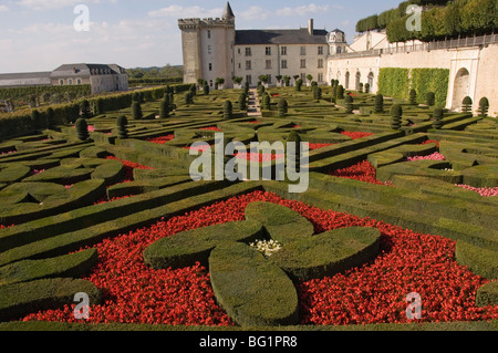 Bestandteil der umfangreichen Blumen- und Gemüsegärten, Chateau de Villandry, Indre-et-Loire, Loire-Tal, Frankreich Stockfoto