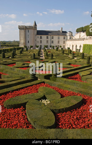 Bestandteil der umfangreichen ornamentalen Blumen- und Gemüsegärten, Chateau de Villandry, Indre-et-Loire, Loire-Tal, Frankreich Stockfoto