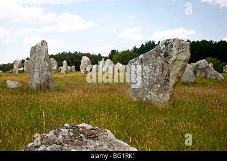 Megalithischen Steinen Achsen de Kremario, Carnac, Morbihan, Bretagne, Frankreich, Europa Stockfoto