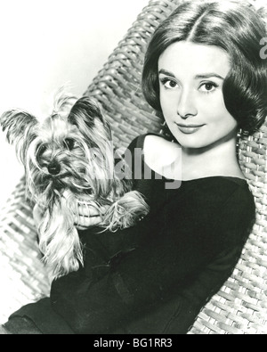 AUDREY HEPBURN - Schauspielerin etwa 1959 mit ihrem Hund Herr Famous Stockfoto