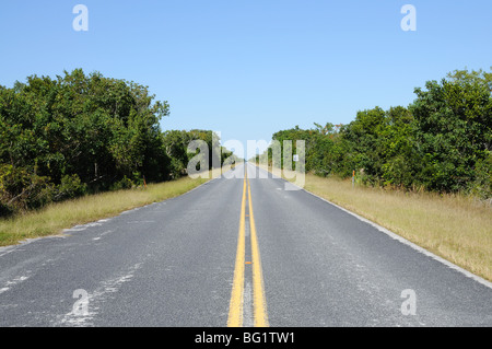 Straße in den Everglades Nationalpark, Florida USA Stockfoto