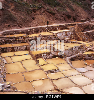 Mann, Blick auf die Salinen, Salineras de Maras, Heiliges Tal, Cuzco Region, Urubamba-Tal, Peru, Südamerika Stockfoto