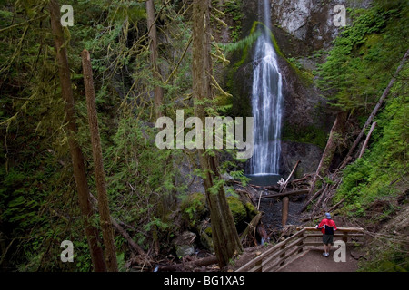 Marymere Falls, Olympic Nationalpark UNESCO World Heritage Site, Washington, Vereinigte Staaten von Amerika, Nordamerika Stockfoto