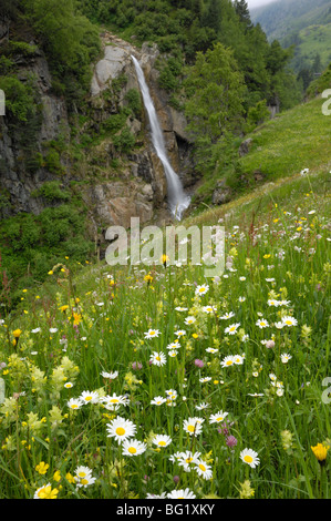 Almwiese, Venter Tal in der Nähe von Vent, Ötztal-Tal, Tirol, Austria, Europe Stockfoto