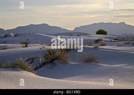 Sanddünen bei Dämmerung, White Sands National Monument, New Mexico, Deutschland, Nordamerika Stockfoto