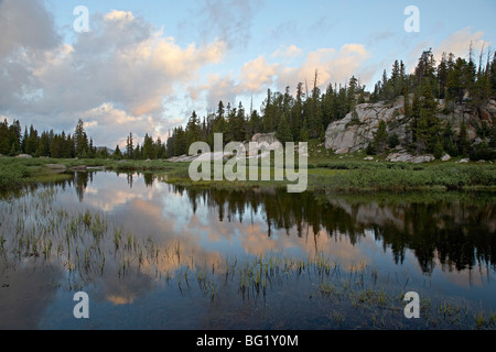 Litte Bear Creek bei Sonnenaufgang, Shoshone National Forest, Montana, Vereinigte Staaten von Amerika, Nordamerika Stockfoto