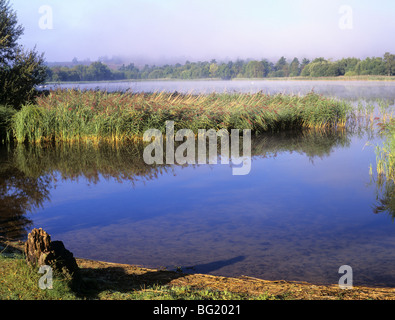 Blick über Frensham Little Pond mit Morgennebel, der im Sommer aus dem Wasser steigt. Frensham Farnham Surrey England Großbritannien. Stockfoto